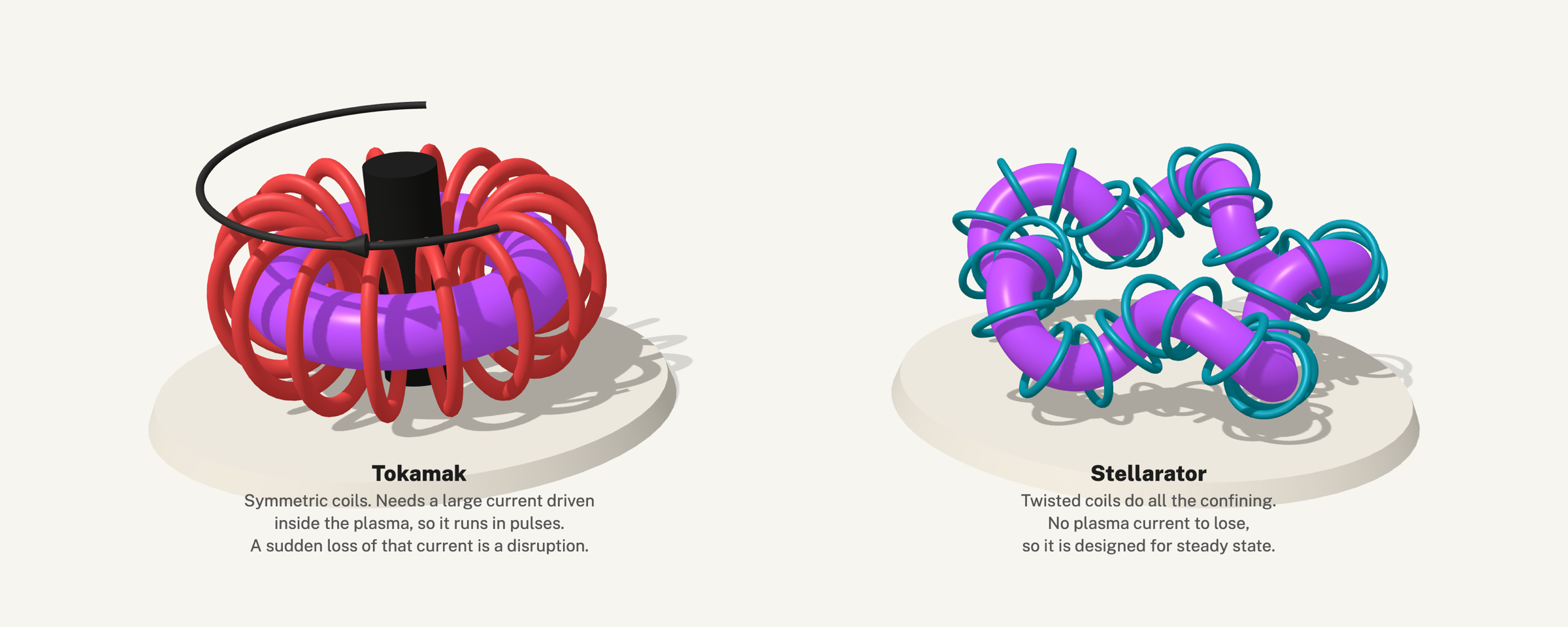 A tokamak with symmetric coils and a central solenoid next to a stellarator with twisted coils