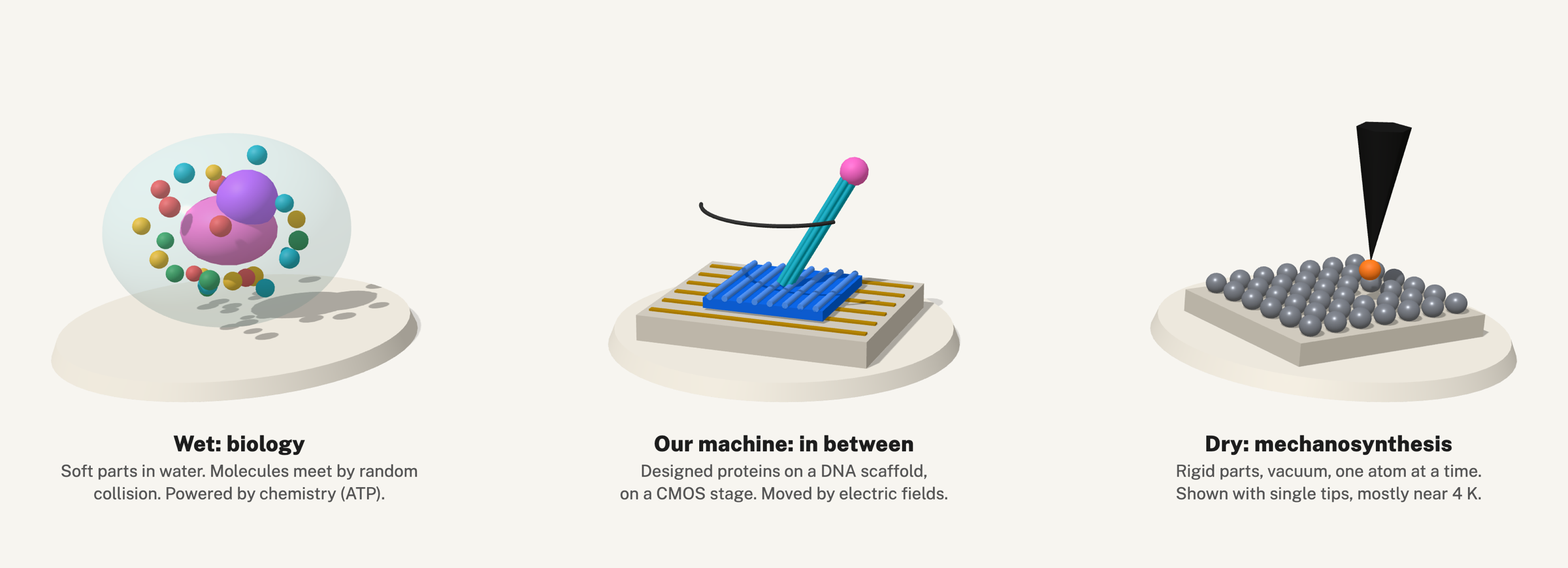 Wet biology, the hybrid machine, and dry mechanosynthesis side by side